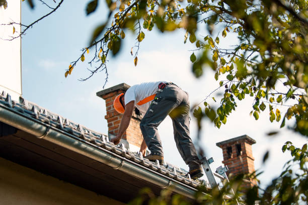 Professional Roofing Contractor in Sargent, TX
