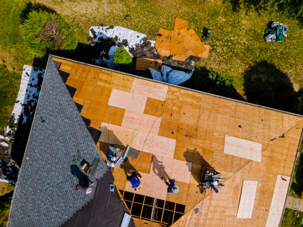 Professional Roofing Contractor in Sargent, TX